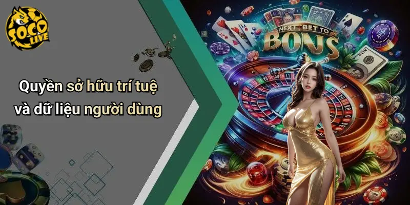 Điều khoản sử dụng 4 Điều Khoản Điều Kiện