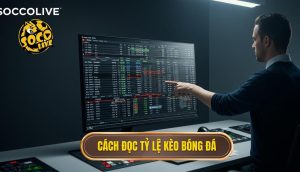 Cách đọc tỷ lệ kèo bóng đá